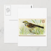 ジッセル ポストカード (正面/裏面)