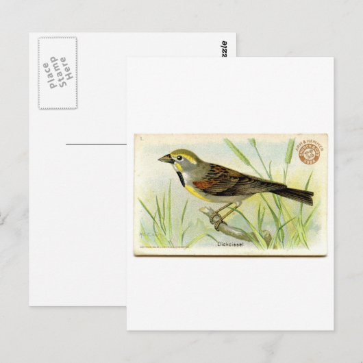 ジッセル ポストカード (正面/裏面)
