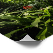 ジップライニングジャングルキャノピー ポスター (角)