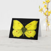 ジトロネンファルター カード (黄色い花)