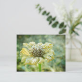 ジナ霜の降りたー ポストカード (スタンド正面)