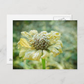 ジナ霜の降りたー ポストカード (正面/裏面)