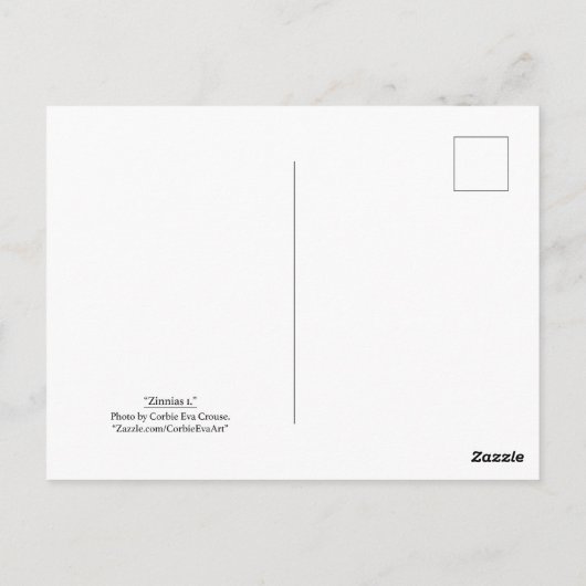 「ジニアス1。」 ポストカード (裏面)