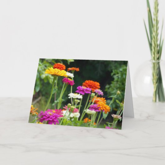 「ジニアス5。」 グリーティングカード (正面)