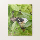 ジニーアのカリコ猫 ジグソーパズル (縦)