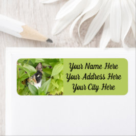 ジニーアのカリコ猫 ラベル