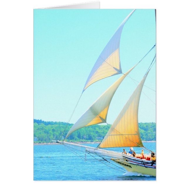 ジブスアフリー (正面)