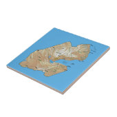 ジブチの地図タイル タイル (側面)