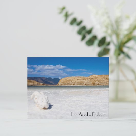 ジブチ岬 ポストカード (スタンド正面)