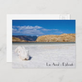 ジブチ岬 ポストカード (正面/裏面)