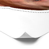 ジブブッシュの衣装 ポスター (角)