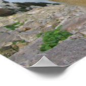 ジブラルタルのサル ポスター (角)