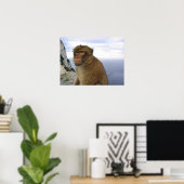 ジブラルタルのサル ポスター (ホームオフィス)