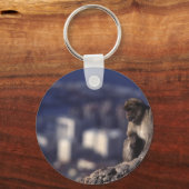 ジブラルタルのペンシティブサル キーホルダー (正面)
