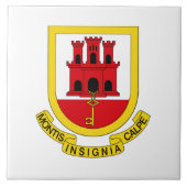 ジブラルタルの紋章 タイル (正面)