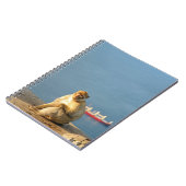 ジブラルタルバルバリーサル ノートブック (左側)