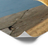 ジブラルタルバルバリーサル ポスター (角)