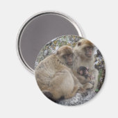 ジブラルタルApes – マグネット (正面/裏面)