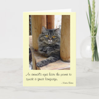 ジプシーの目 カード