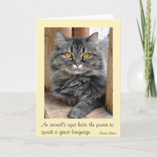 ジプシーの瞳 サンキューカード (正面)