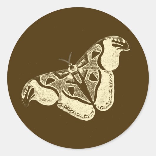 ジプシーの蛾、チョコレートブラウンとベージュ ラウンドシール (正面)
