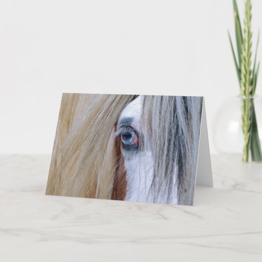 ジプシーの視野の挨拶状 カード (正面)