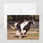 ジプシーの金ゴールドのジプシーのVannerのロバの郵便はがき インビテーションポストカード (正面/裏面)