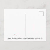 ジプシーの金ゴールドのジプシーのVannerのロバの郵便はがき インビテーションポストカード (裏面)