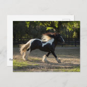 ジプシーの金ゴールドのprovebの郵便はがき インビテーションポストカード (正面/裏面)