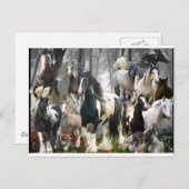 ジプシーの馬の贈り物 ポストカード (正面/裏面)