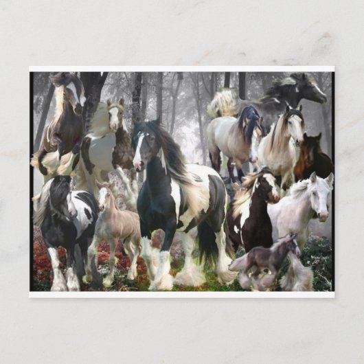 ジプシーの馬の贈り物 ポストカード (正面)