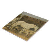 ジプシーの馬、c.1885-90 (キャンバスの油) タイル (側面)