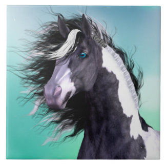 ジプシーのVannerの馬6x6のセラミックタイル タイル