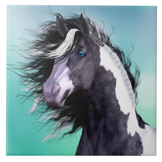 ジプシーのVannerの馬6x6のセラミックタイル タイル (正面)