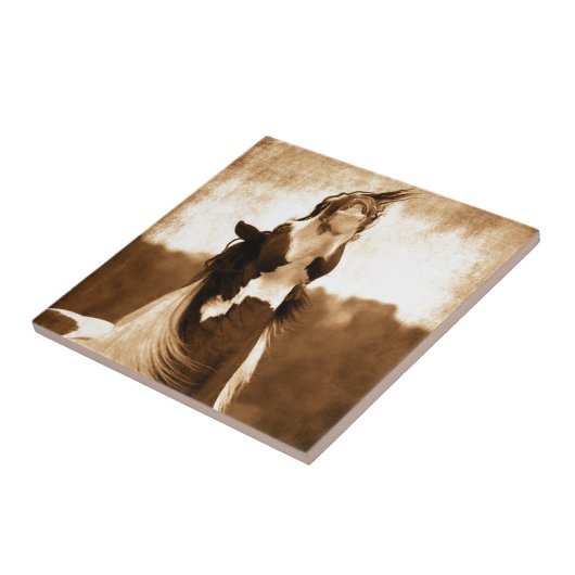 ジプシーのVanner タイル (側面)