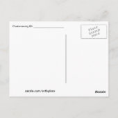 ジプシーガールウィズホースヴィンテージアンティーク葉書 ポストカード (裏面)