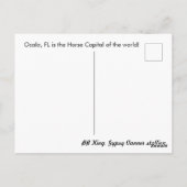 ジプシーゴールド ジプシー ヴァンナー ポストカード BB キング (裏面)