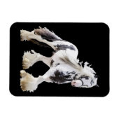 ジプシーマーレスタリオン荷車を引くホース マグネット (横)