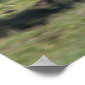 ジプシーヴァンナーウマランニングーズ ポスター (角)