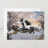 ジプシーヴァンナーホースポストカード ポストカード (正面/裏面)