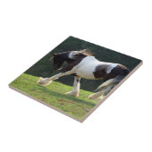 ジプシーヴァンナー タイル (側面)