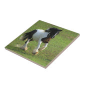 ジプシーヴァンナー タイル (側面)