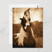 ジプシーヴァンナー ポストカード (正面/裏面)