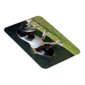 ジプシーヴァンナー マグネット (右側)