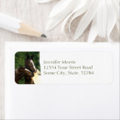 ジプシーヴァンナー ラベル (インサイチュ)