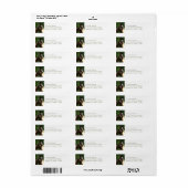 ジプシーヴァンナー ラベル (フルシート)