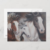 ジプシー走 ポストカード (正面/裏面)