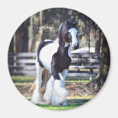 ジプシー金ゴールドキングウィリアム磁石 マグネット (正面)