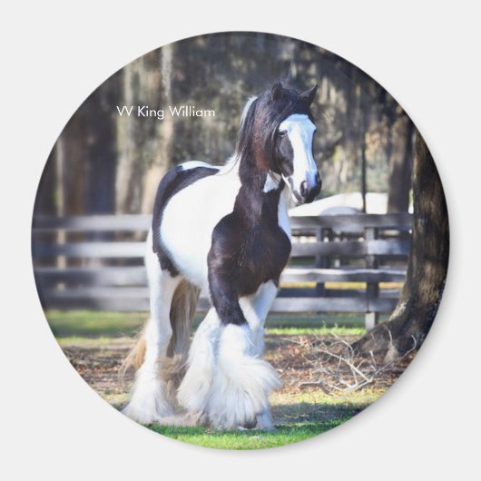 ジプシー金ゴールドキングウィリアム磁石 マグネット (正面)