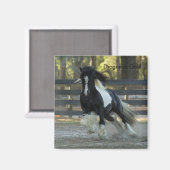 ジプシー金ゴールドジプシーバンナードロゲーダ金ゴールドマグネット マグネット (正面/裏面)